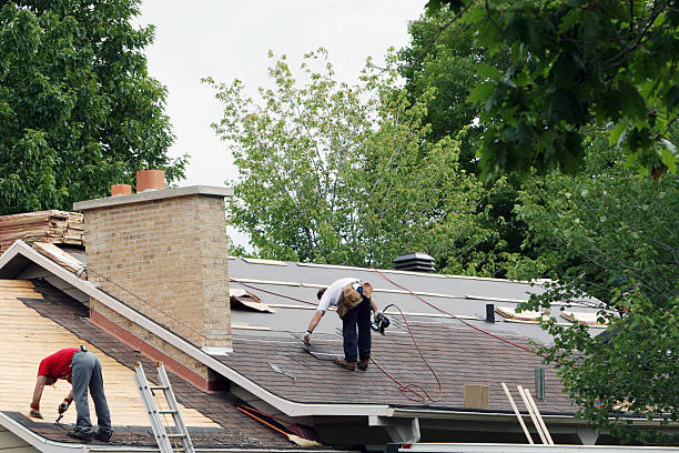 Best Flat Roof Repair Services  in Cambridge, IL