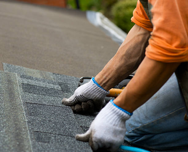Best Shingle Roofing Installation  in Cambridge, IL
