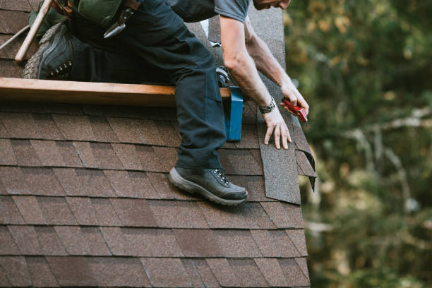 Best Flat Roof Repair Services  in Cambridge, IL